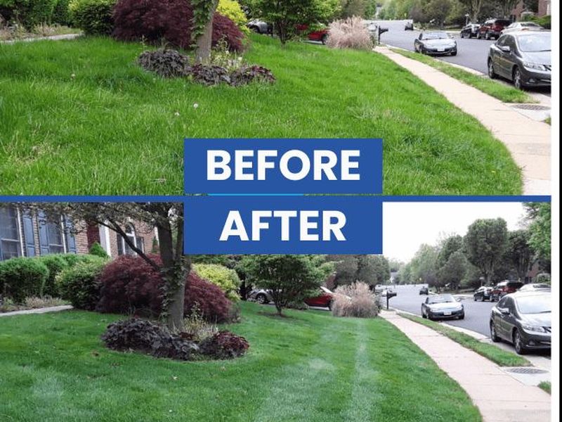 Before and after of a Sydney front lawn mowed and edged