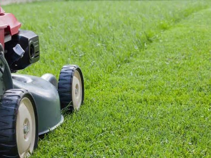 Mower cutting a clean stripe into a healthy green lawn
