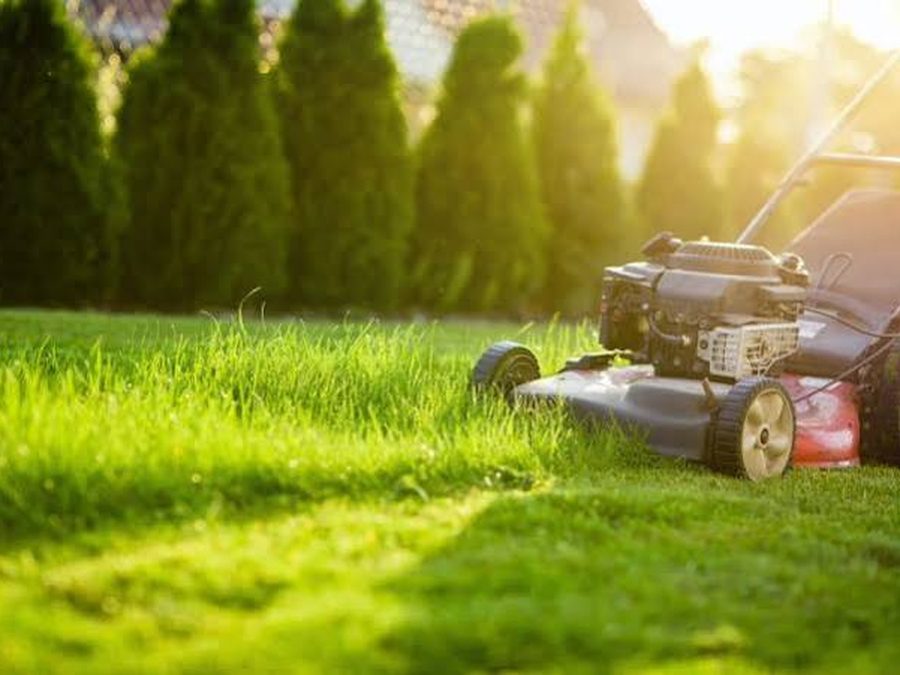 Mower cutting a lush green Sydney lawn in golden light